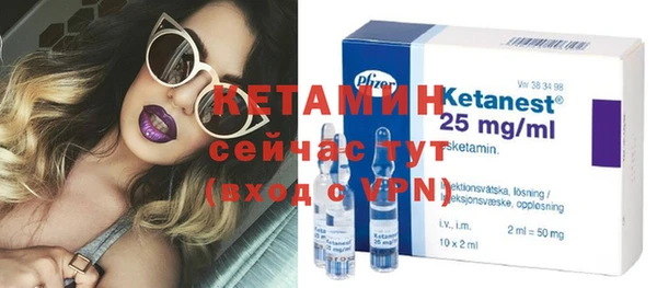 стаф Алзамай