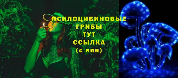 стаф Алзамай