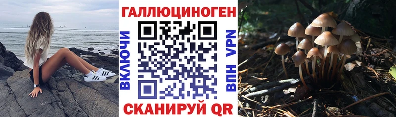 Псилоцибиновые грибы мухоморы  Тула 